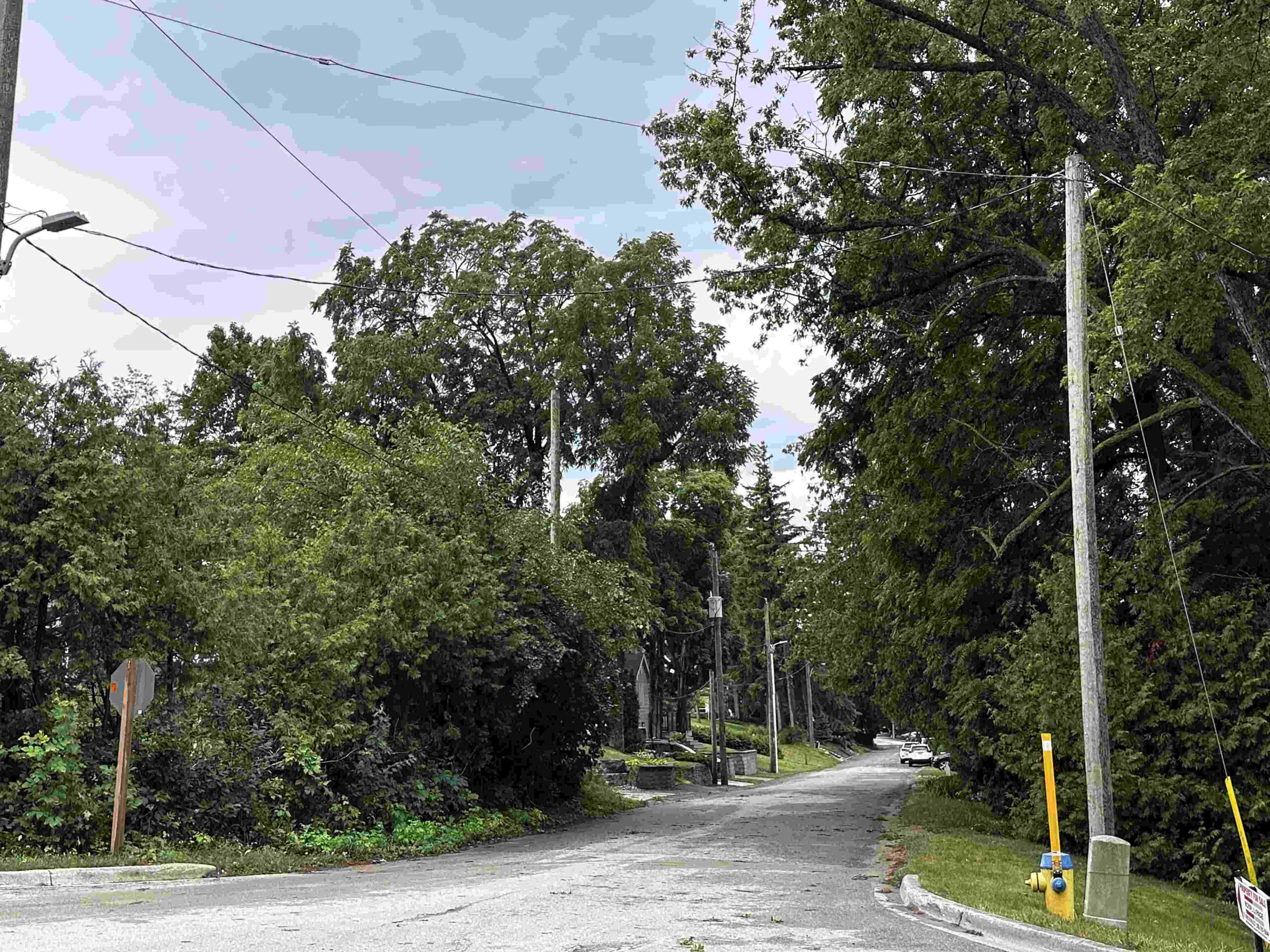 Ramblings #7 : Passing the Torch