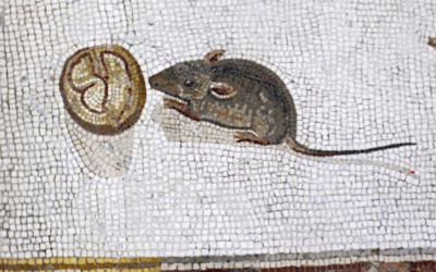 Forgotten Heroes #6 – Rattus Romanus