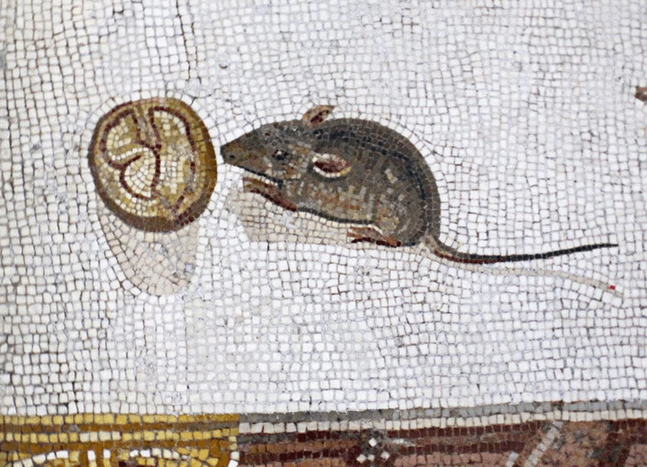 Forgotten Heroes #6 – Rattus Romanus