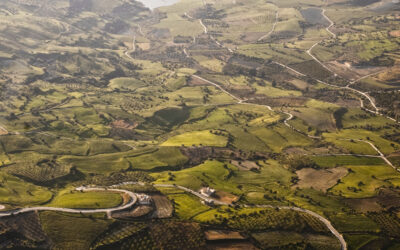 Earth: The Third Elemental Ironist