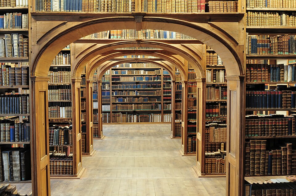 WORDS, WORDS, WORDS IV: On Reading